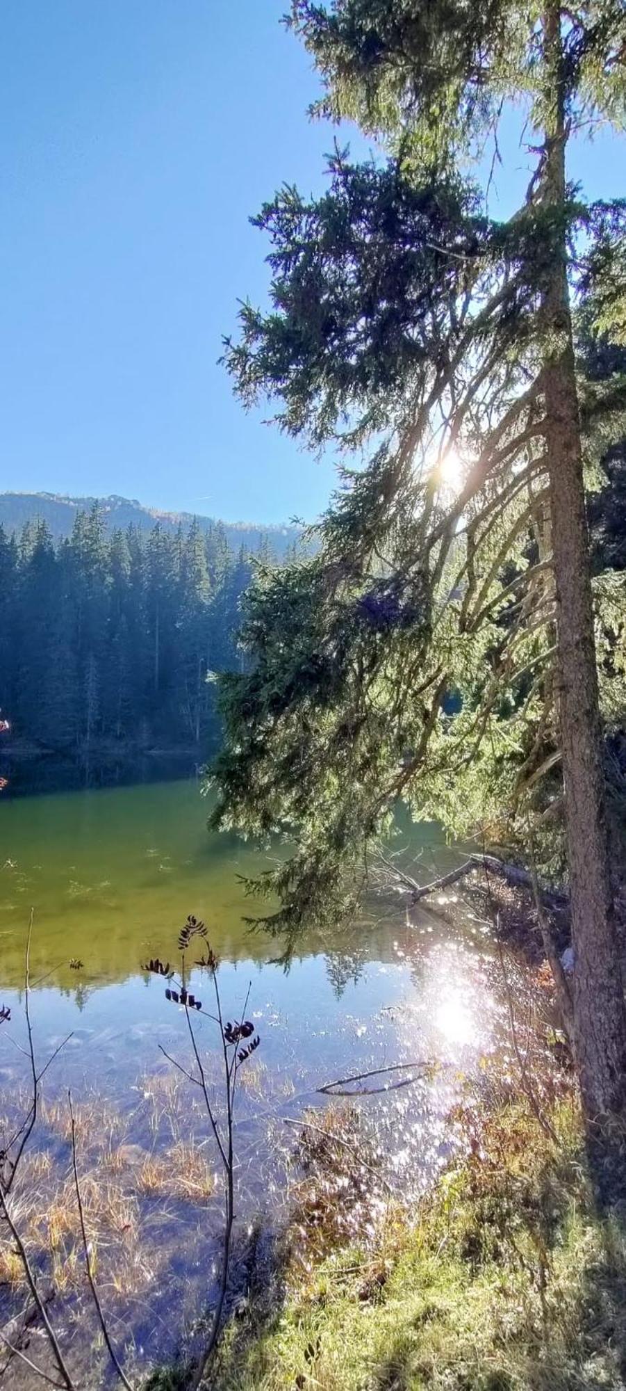 Vikendica Aleksandra Žabljak Esterno foto