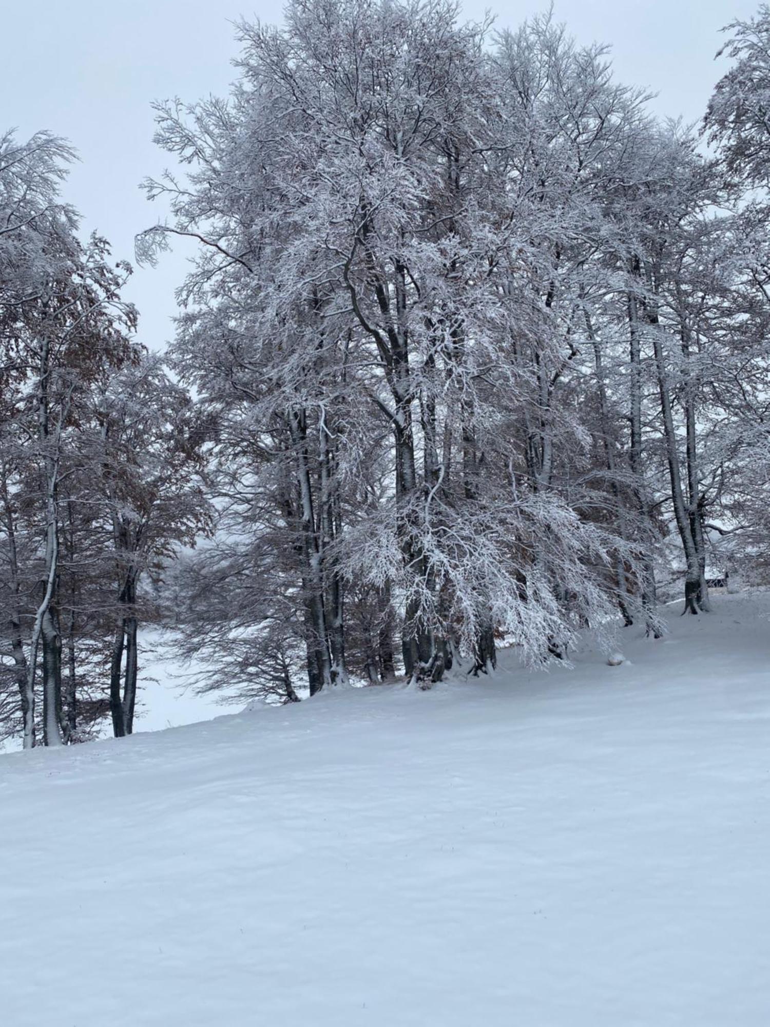Vikendica Aleksandra Žabljak Esterno foto